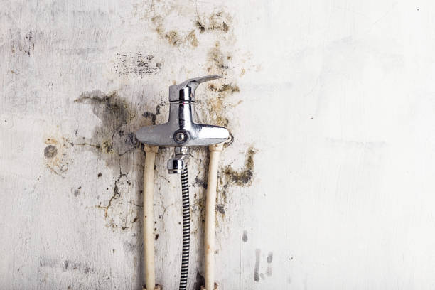 Water Damage Restoration in Setauket, NY