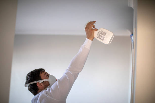 Mold Removal Process in Setauket, NY