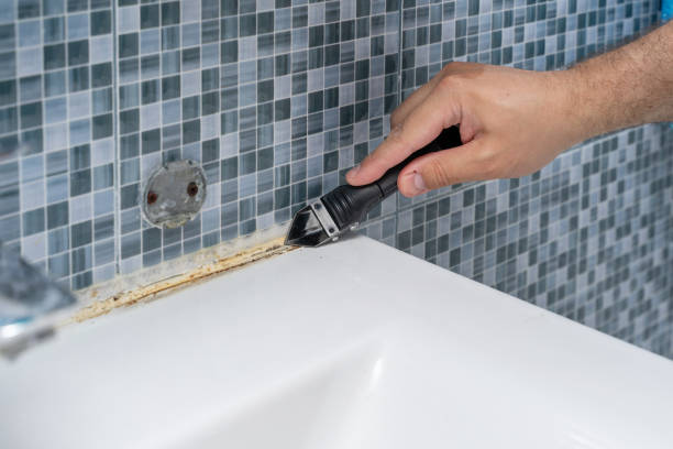 Best Mold Testing  in Setauket, NY